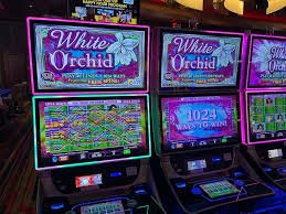 Bangladesh adult viewing Fishing War arcade content on duo 5 mobile